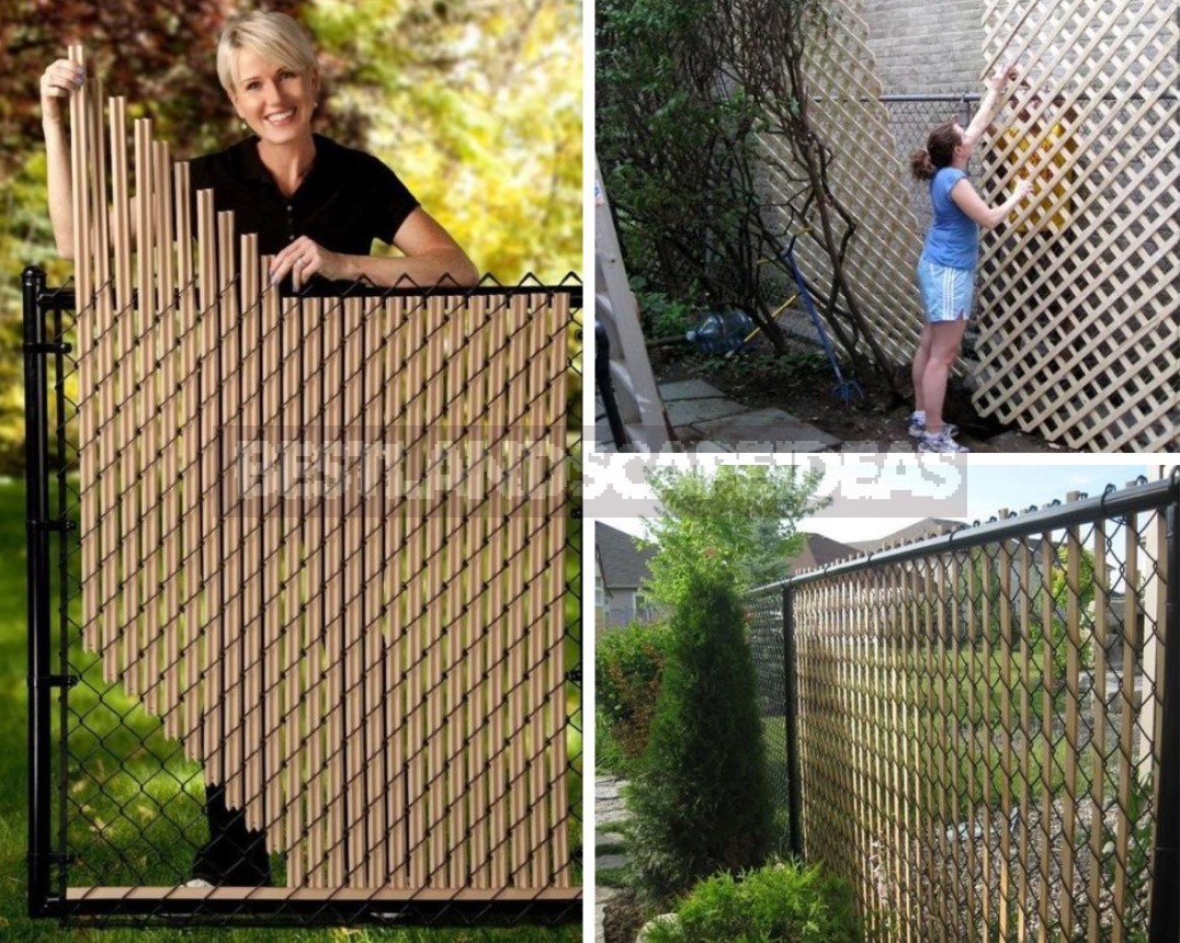 How To Refine a Mesh Fence: Practical, Cute And Bold Ideas