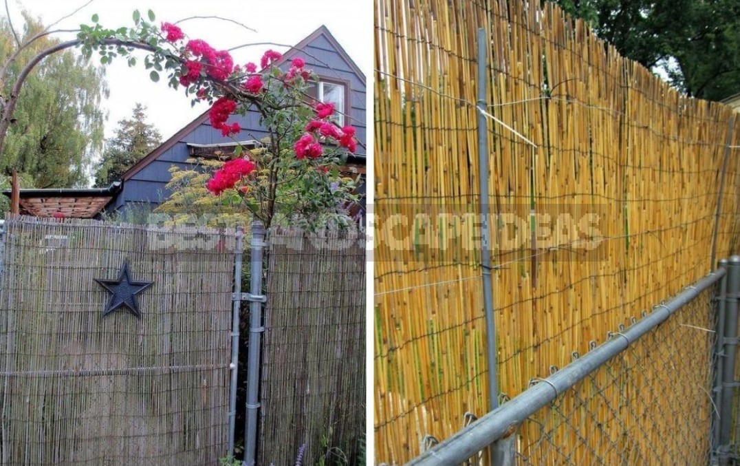 How To Refine a Mesh Fence: Practical, Cute And Bold Ideas