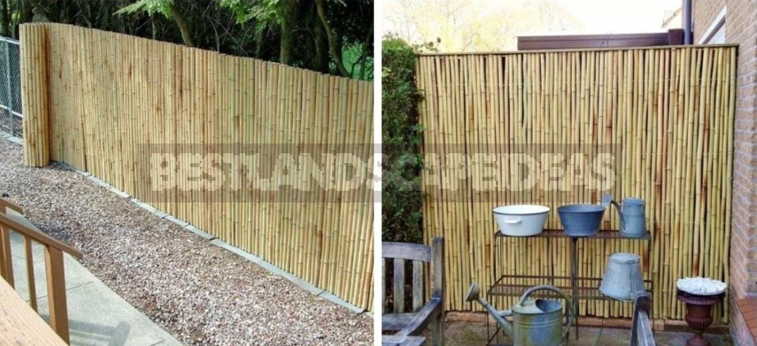 How To Refine a Mesh Fence: Practical, Cute And Bold Ideas