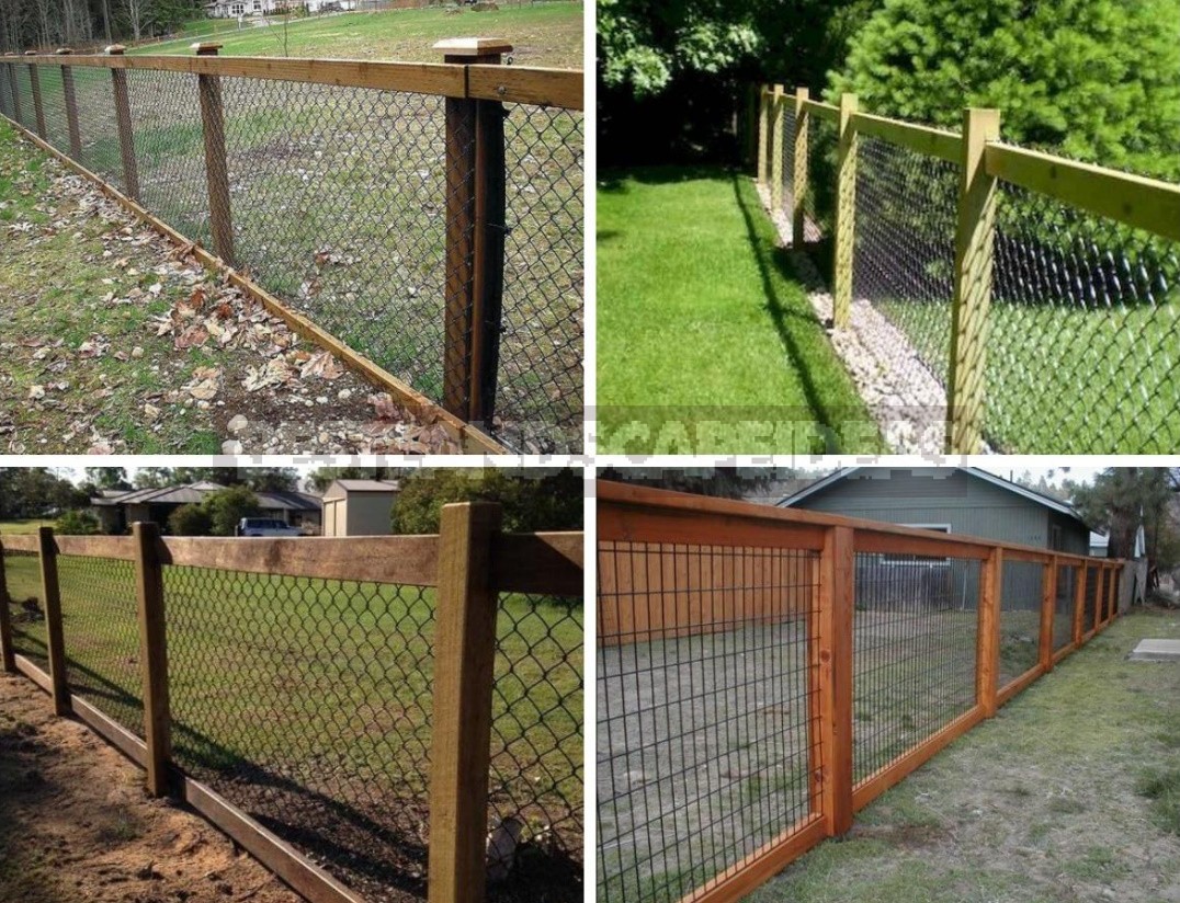 How To Refine a Mesh Fence: Practical, Cute And Bold Ideas