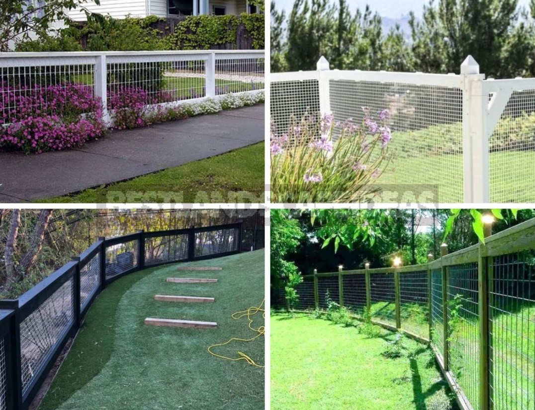 How To Refine a Mesh Fence: Practical, Cute And Bold Ideas