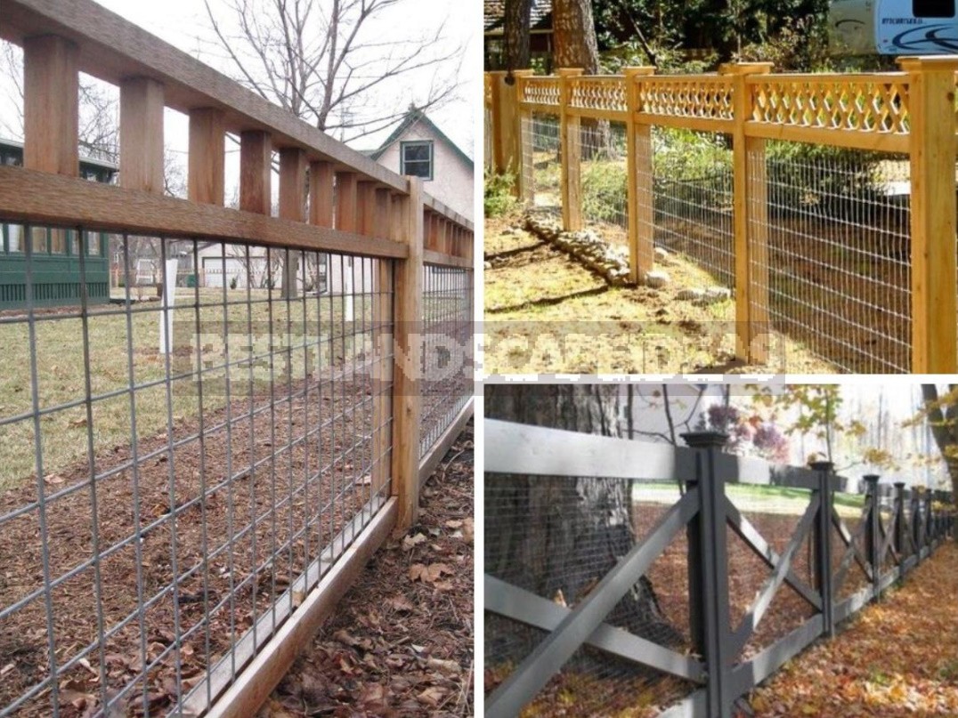 How To Refine a Mesh Fence: Practical, Cute And Bold Ideas