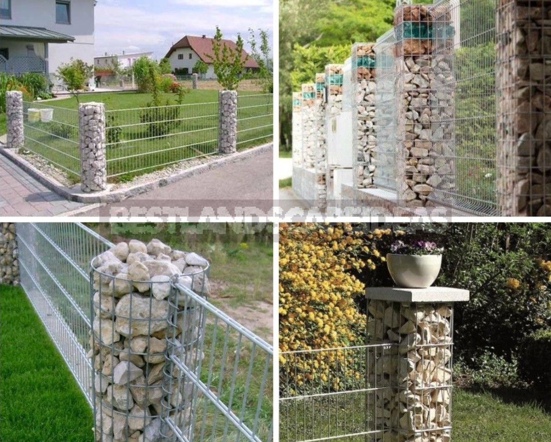 How To Refine a Mesh Fence: Practical, Cute And Bold Ideas