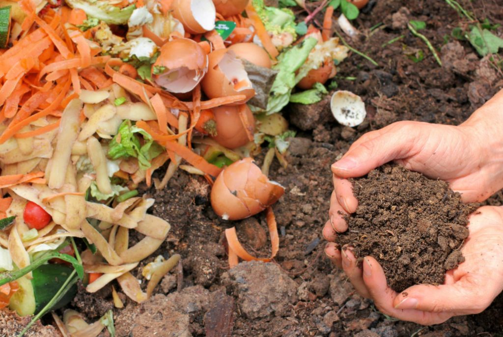 We Prepare Vermicompost From Food Waste At Home (Part 1)