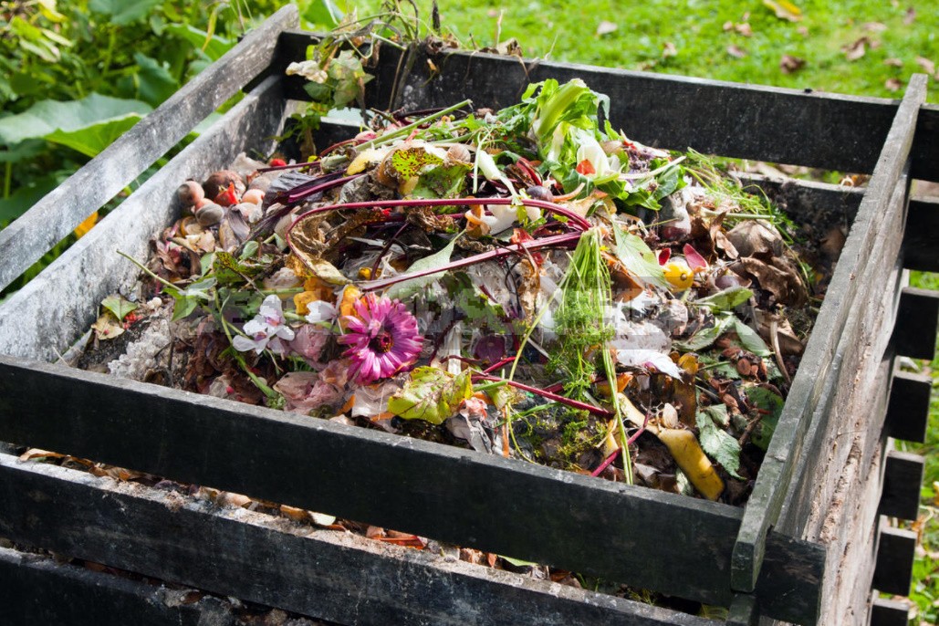 We Prepare Vermicompost From Food Waste At Home (Part 1)