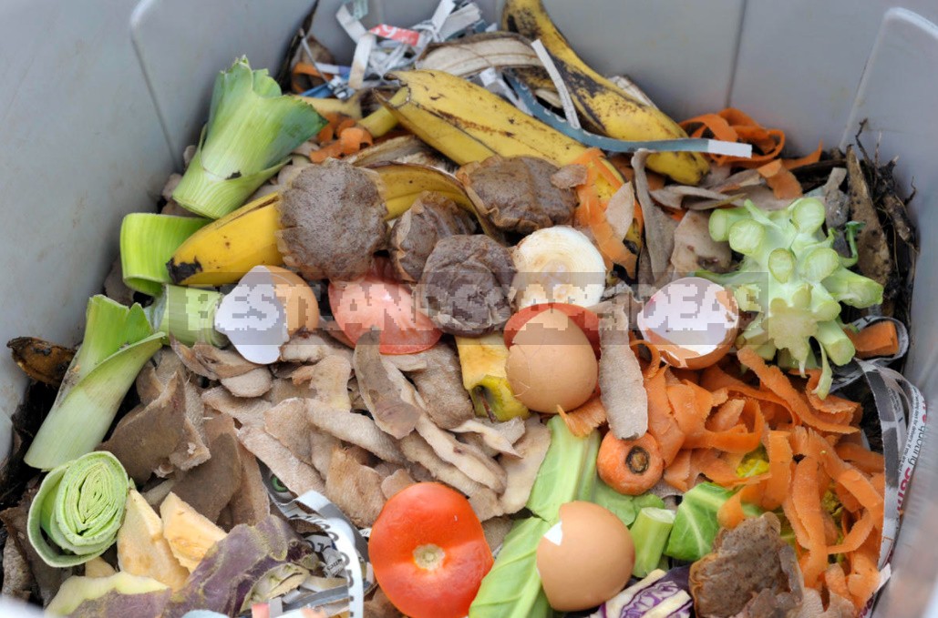 We Prepare Vermicompost From Food Waste At Home (Part 2)
