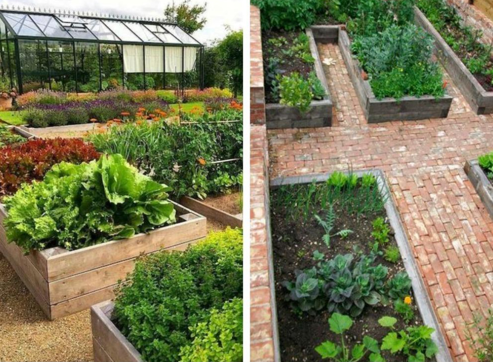 Beautiful Beds, a Beautiful Vegetable Garden: Ideas For Connoisseurs Of Beauty