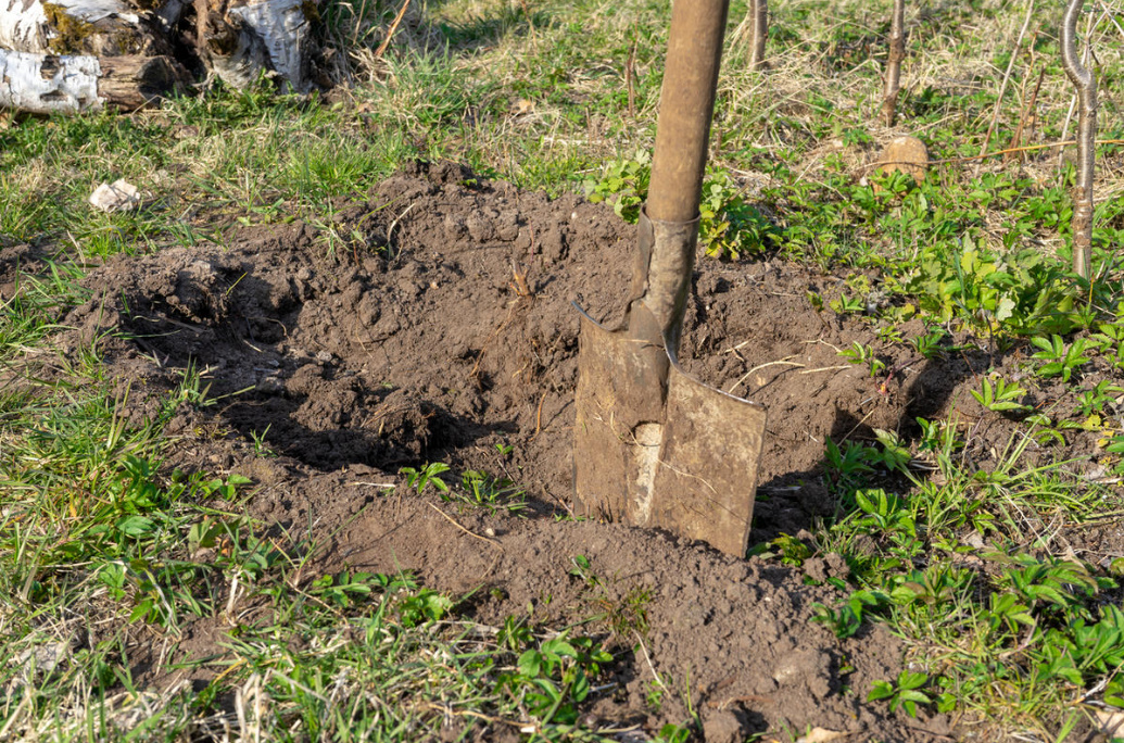 Country Toilet Without Pumping: Correct Design And Special Means