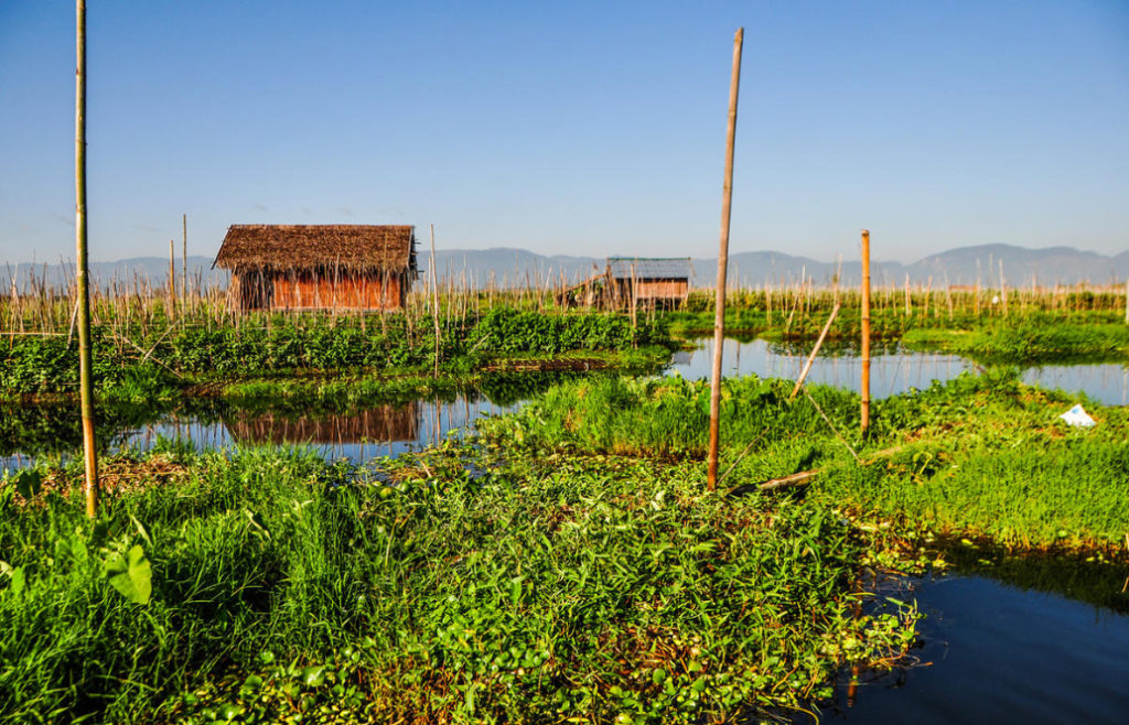 Floating Gardens And Vegetable Gardens: How To Farm In Unusual Conditions