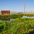 Floating Gardens And Vegetable Gardens: How To Farm In Unusual Conditions