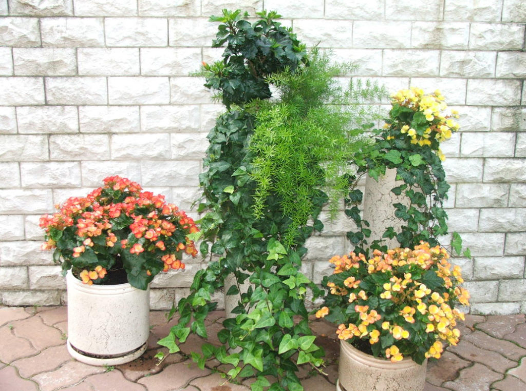 How To Arrange a Patio In English Style Plant Selection And Design