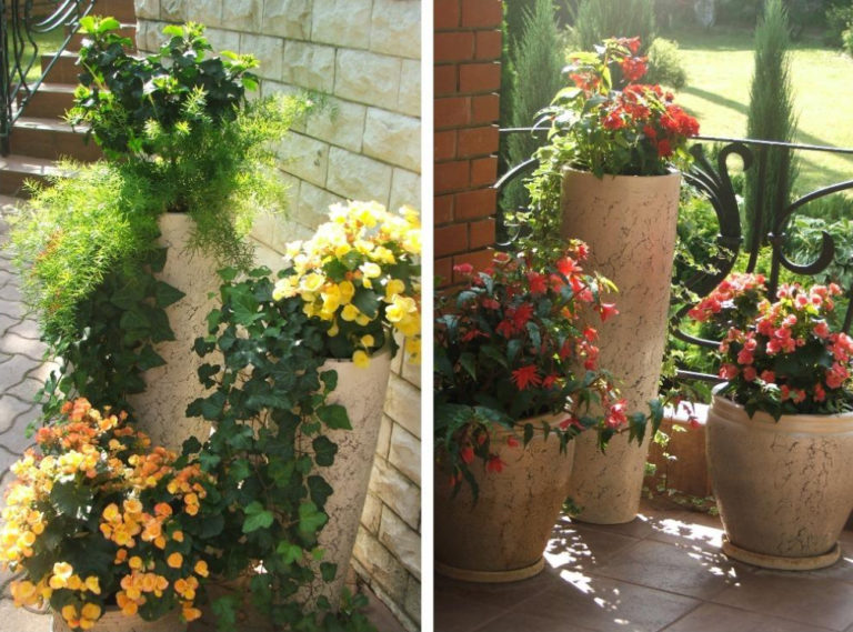 How To Arrange a Patio In English Style Plant Selection And Design