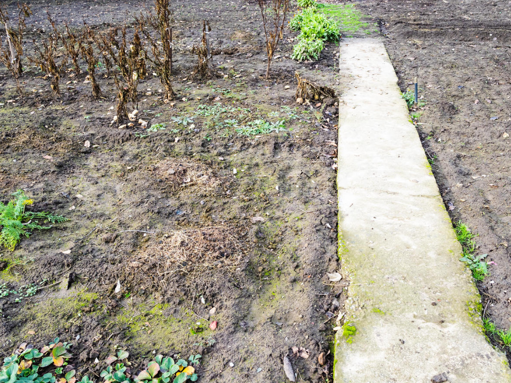 Profiled Membrane For Garden Paths: What Is Needed And How To Lay