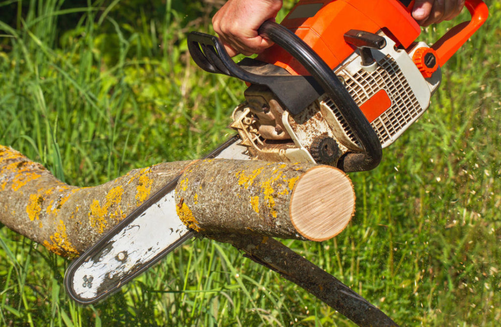 Proper Operation Of a Chainsaw: The Main Mistakes (Part 1)