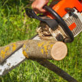Proper Operation Of a Chainsaw: The Main Mistakes (Part 1)