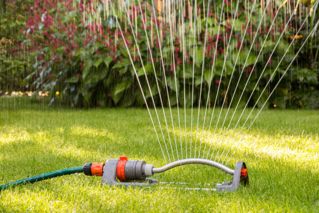 Secrets Of The Perfect Lawn: What To Feed, How To Cut, When To Water (Part 1)