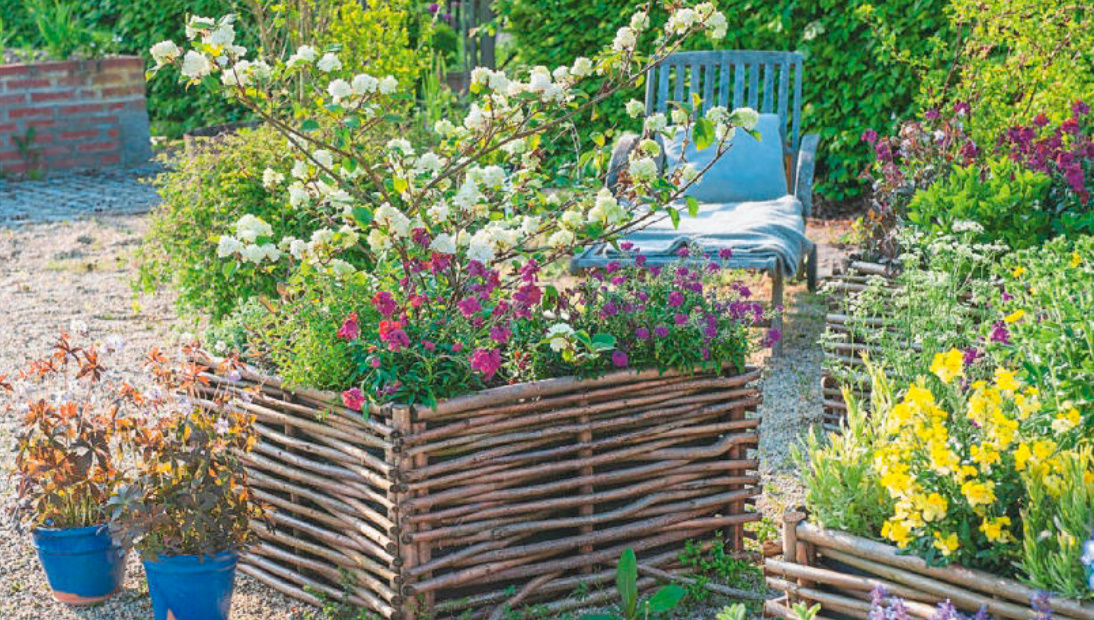 Which Viburnum Is The Most Beautiful: Different Types And Popular Varieties