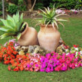 Flower Beds In Containers: Planting Schemes