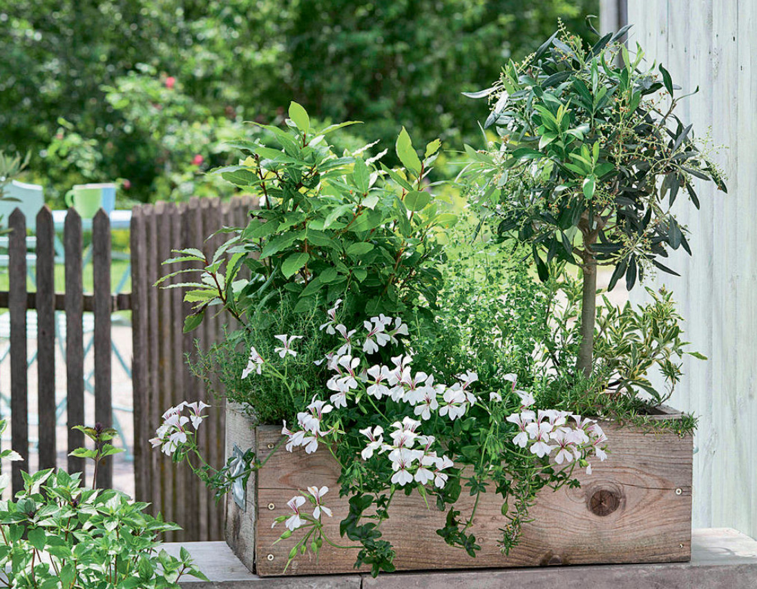 Flower Beds In Containers: Planting Schemes