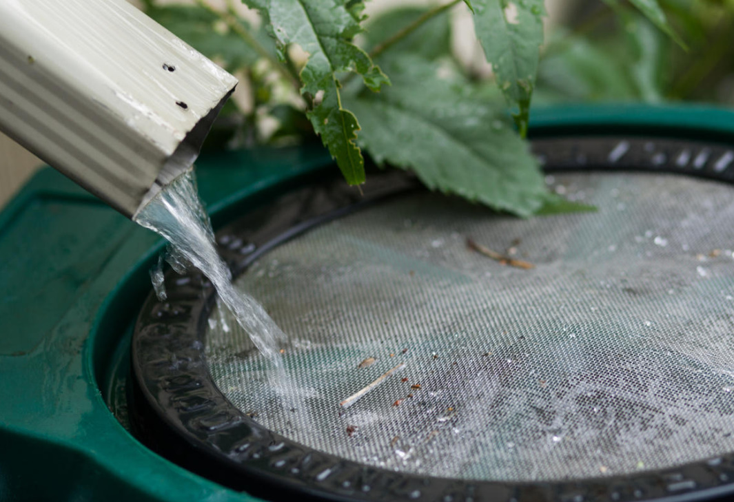 Collecting Rainwater In The Country: Devices That Can Be Made With Your Own Hands
