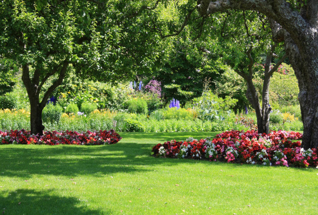 Design Of Trunk Circles Of Trees: How To Do It Right