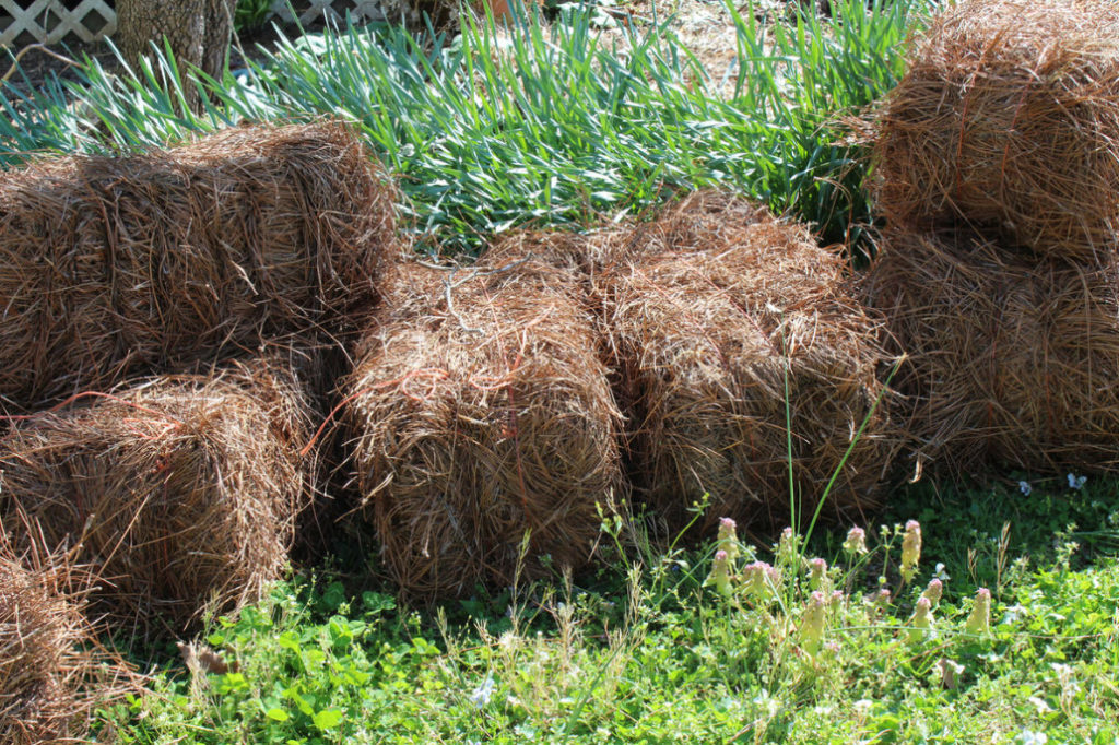 Hay And Straw: 8 Ways To Use In The Country