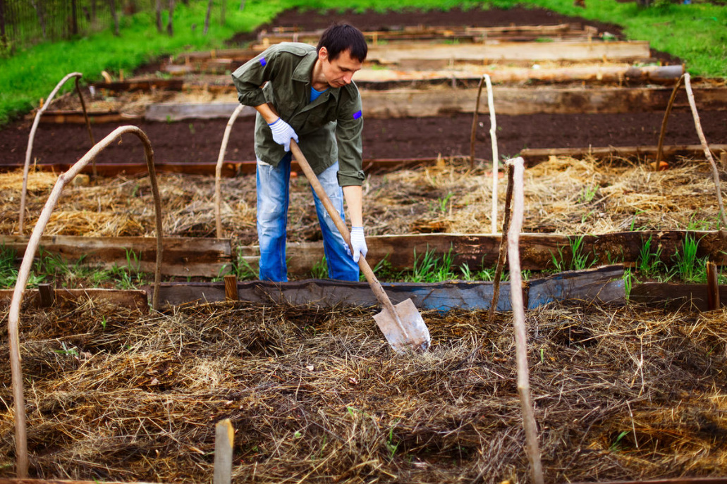 Hay And Straw: 8 Ways To Use In The Country