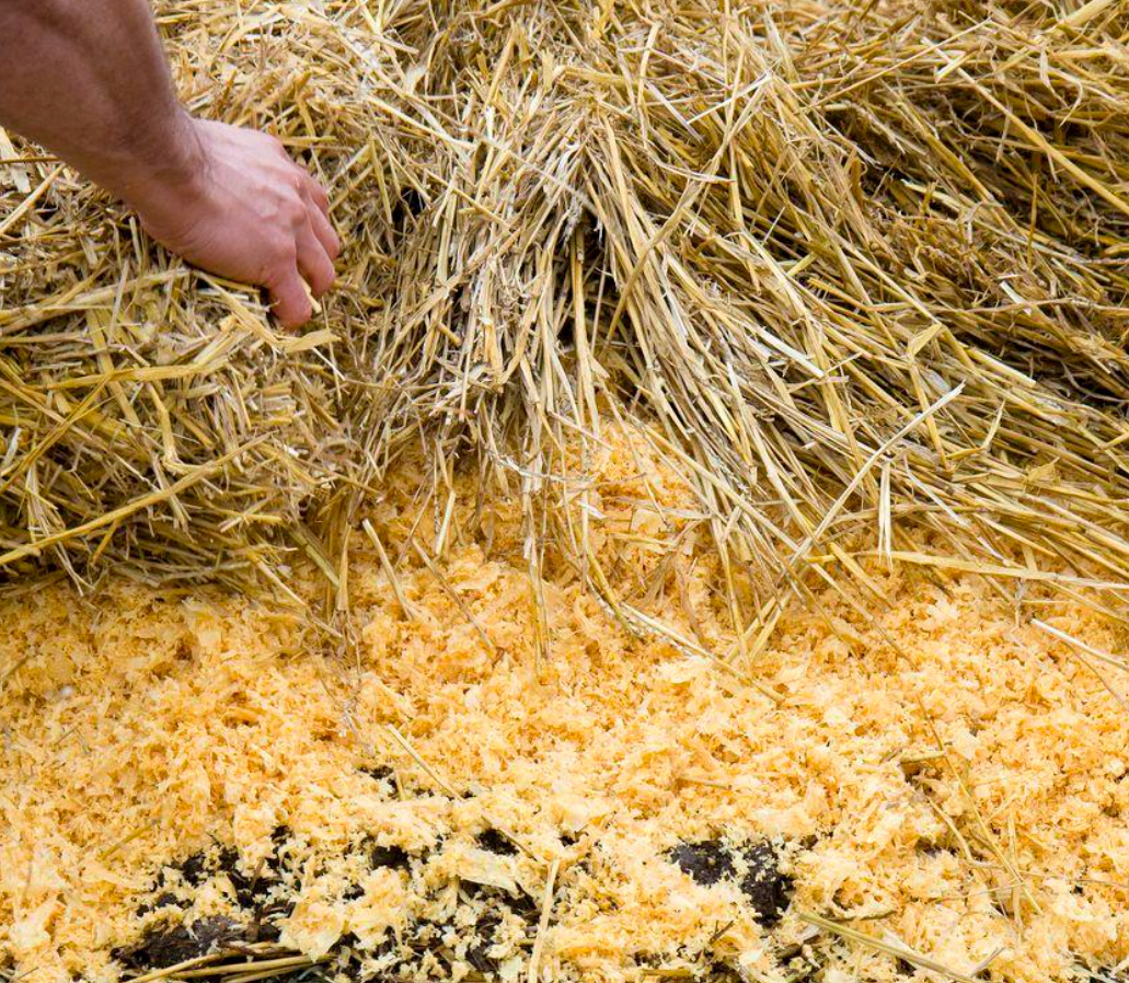 Hay And Straw: 8 Ways To Use In The Country
