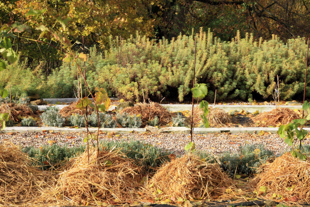 Hay And Straw: 8 Ways To Use In The Country