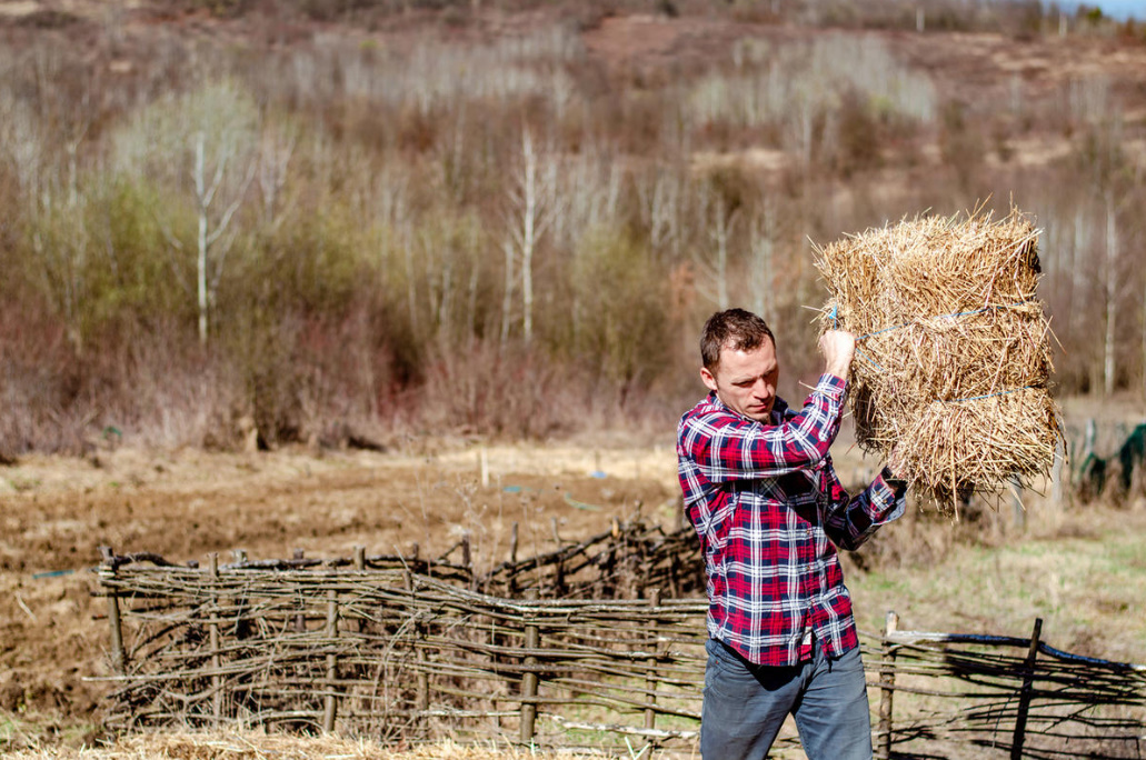 Hay And Straw: 8 Ways To Use In The Country