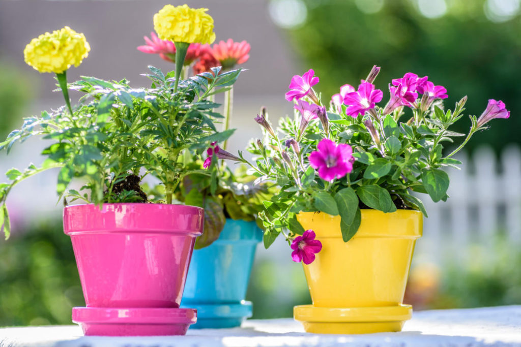 DIY Flower Pot Decor: More Than 50 Ideas (Part 1) - Best Landscape Ideas