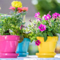 DIY Flower Pot Decor: More Than 50 Ideas (Part 1)