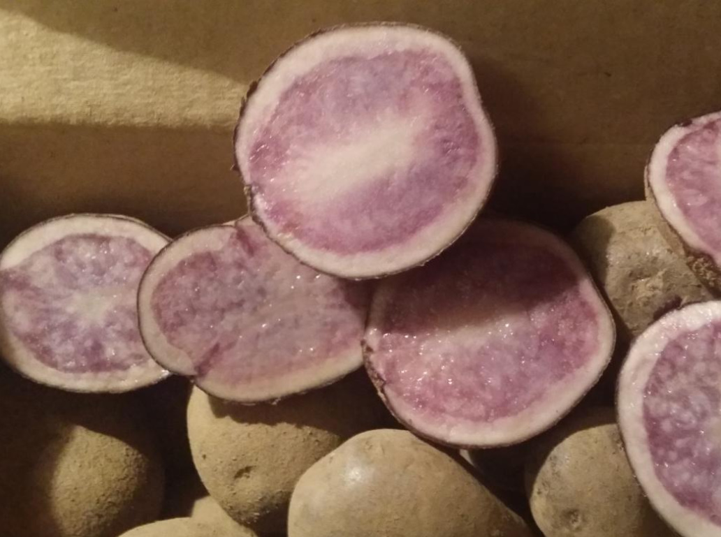 Purple Potatoes: Description Of Varieties And Useful Properties