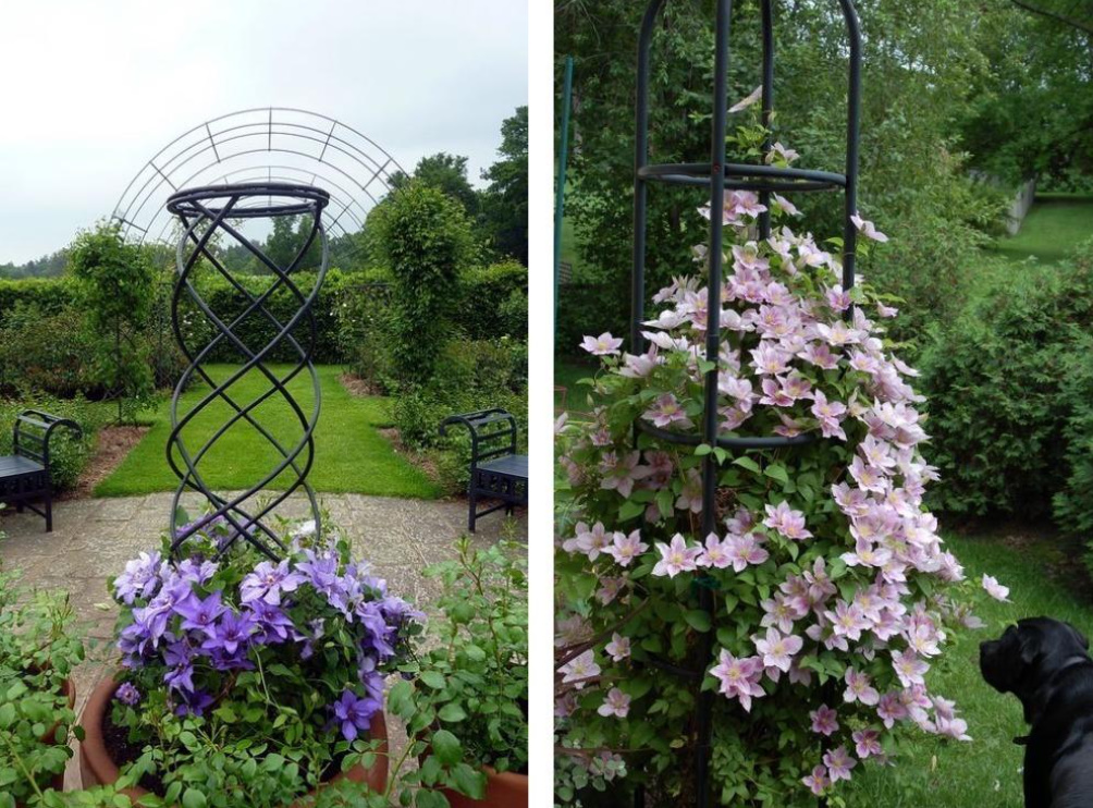 Supports For Clematis: a Collection Of Ideas