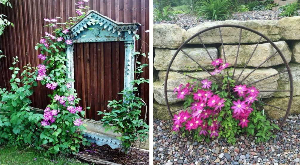 Supports For Clematis: a Collection Of Ideas