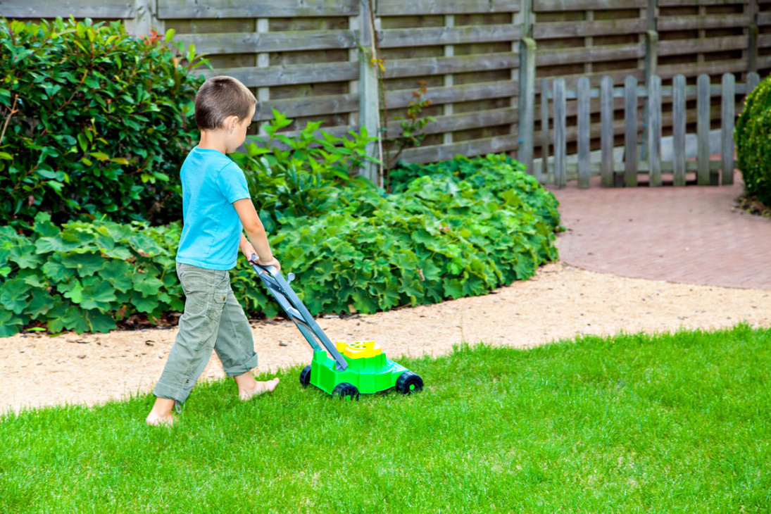 Three Main Rules For Those Who Use Garden Equipment