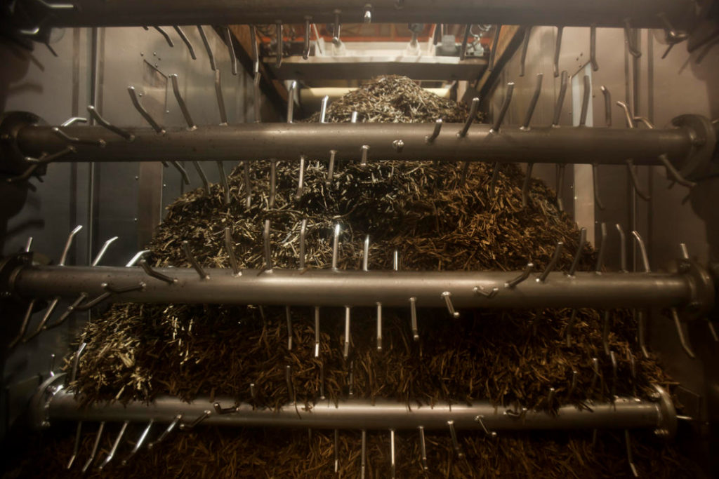 Tobacco Dust In The Garden And Vegetable Garden How To Use Against