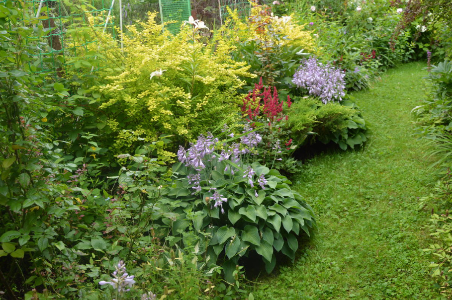How To Redo a Flower Garden: An Action Plan (Part 2)