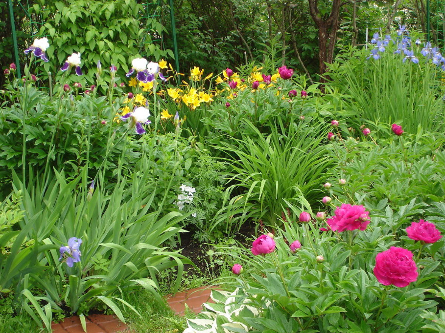 How To Redo a Flower Garden: An Action Plan (Part 1)