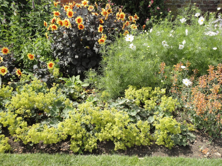 How To Redo a Flower Garden: An Action Plan (Part 1)