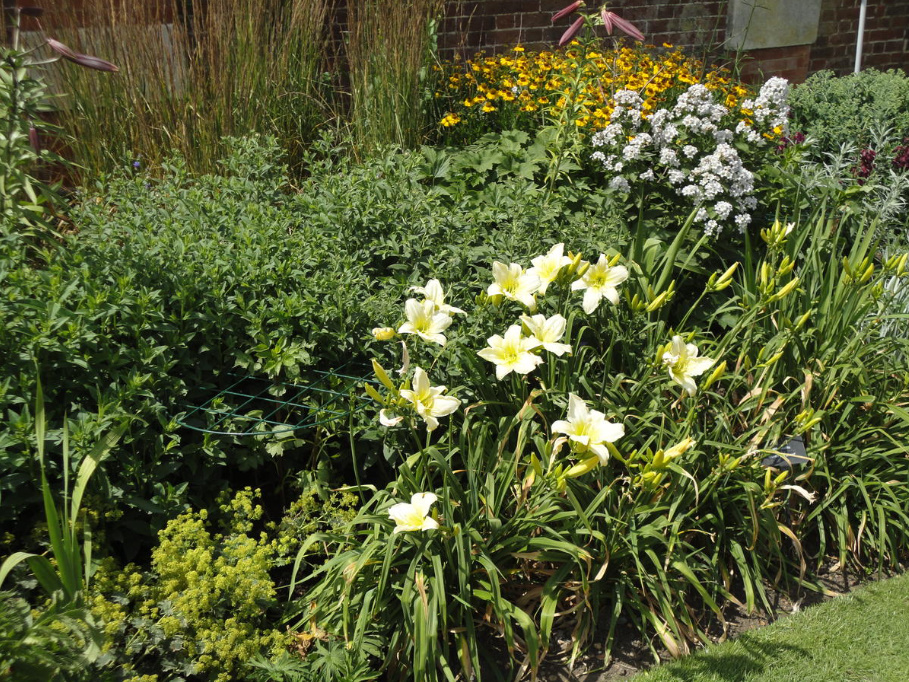 How To Redo a Flower Garden: An Action Plan (Part 1)