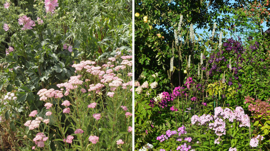 How To Redo a Flower Garden: An Action Plan (Part 1)