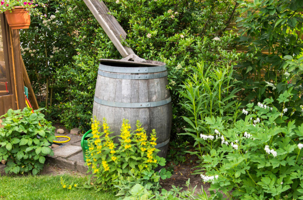 Paint Pr Hide: Deciding The Fate Of The Water Barrel