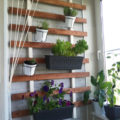 The Idea For a Vegetable Garden On The Balcony: An Old Clapboard In Action