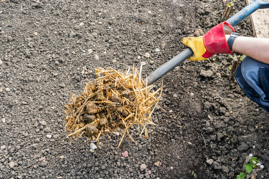 The Subtleties Of Using Horse Manure (Part 2)