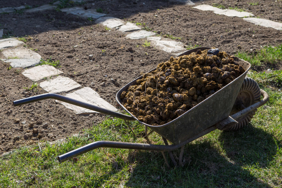 The Subtleties Of Using Horse Manure (Part 1)