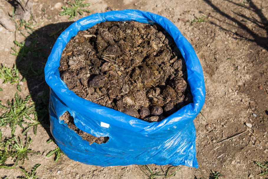 The Subtleties Of Using Horse Manure (Part 2)
