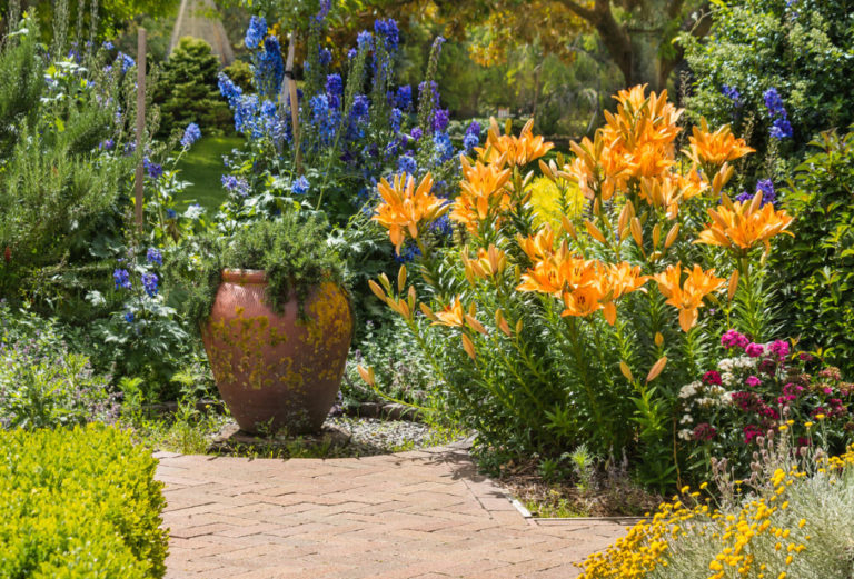 What Kind Of Care Do Lilies Need After Flowering Best Landscape Ideas