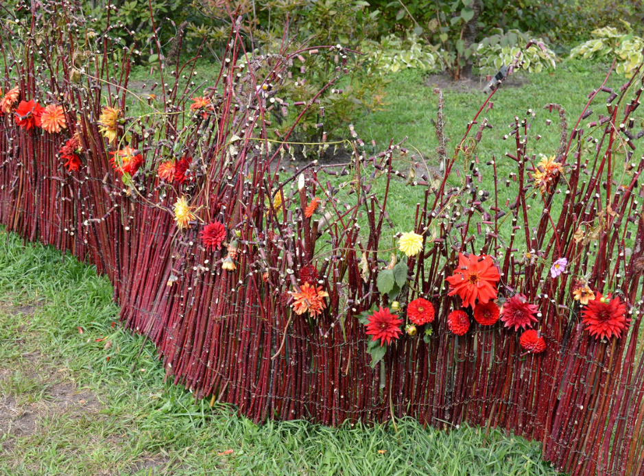 Cheap And Angry: a Designer Fence Made Of Ordinary Branches