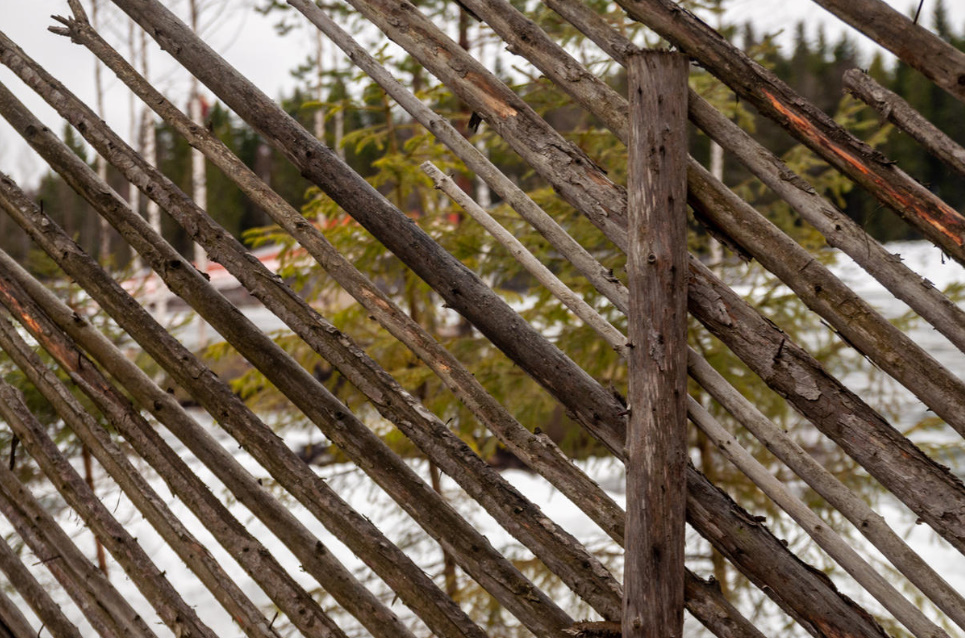 Cheap And Angry: a Designer Fence Made Of Ordinary Branches